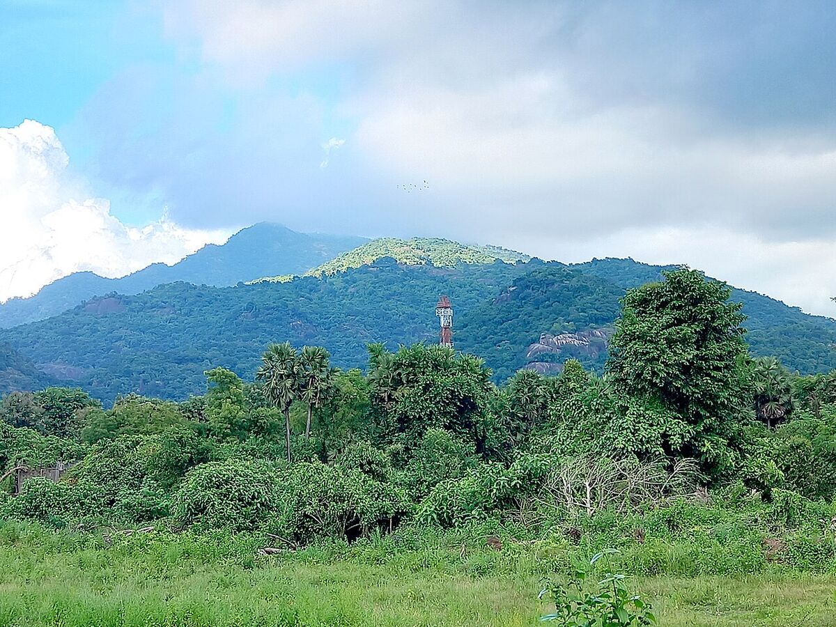 Green hills of Araku Valley